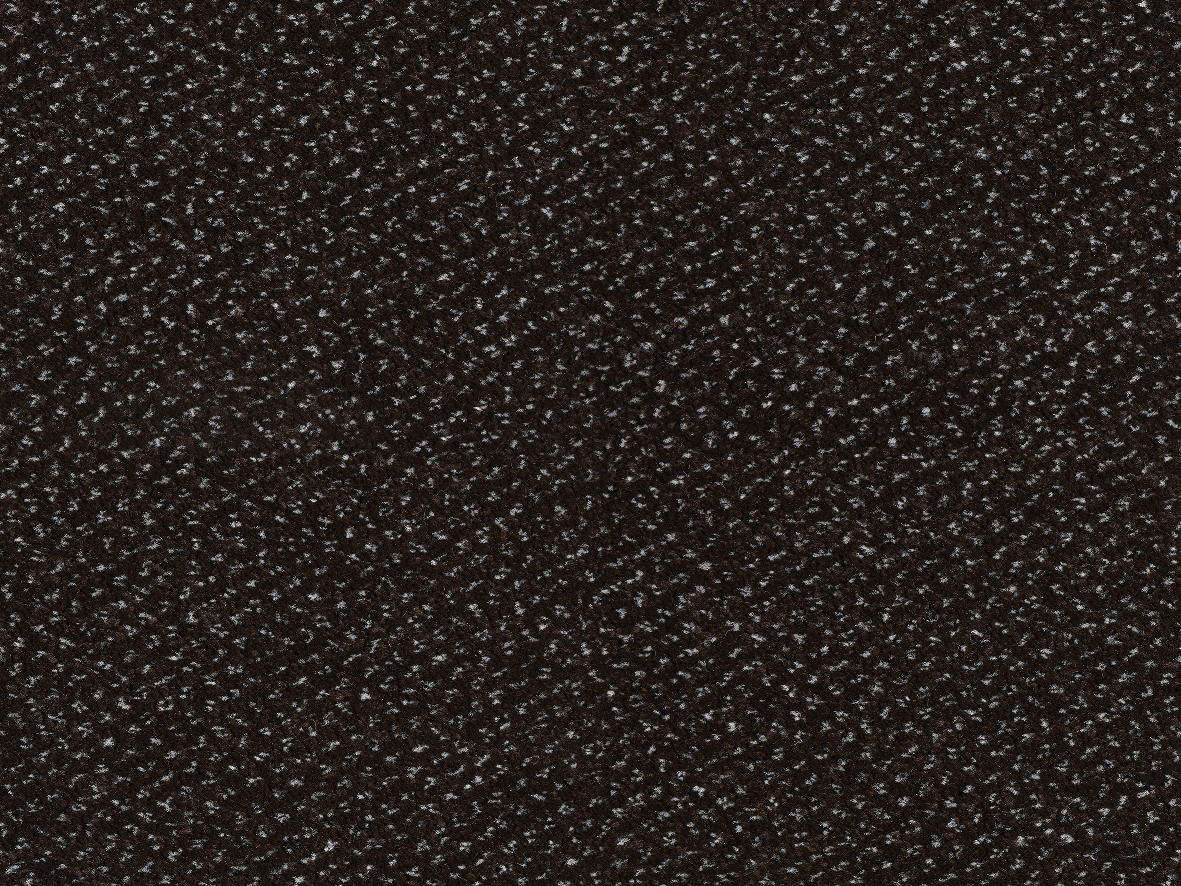 Mocheta Endurance-color-200