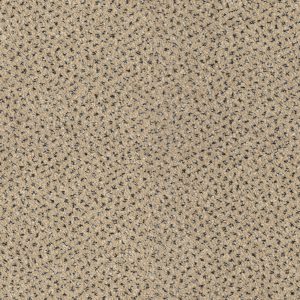 Mocheta Endurance-color-250