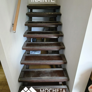 MOCHETA EUPHORIA 451