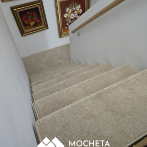 MOCHETA EUPHORIA 451