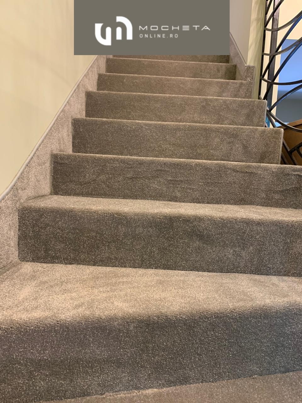 Startwist-Elite-color-433