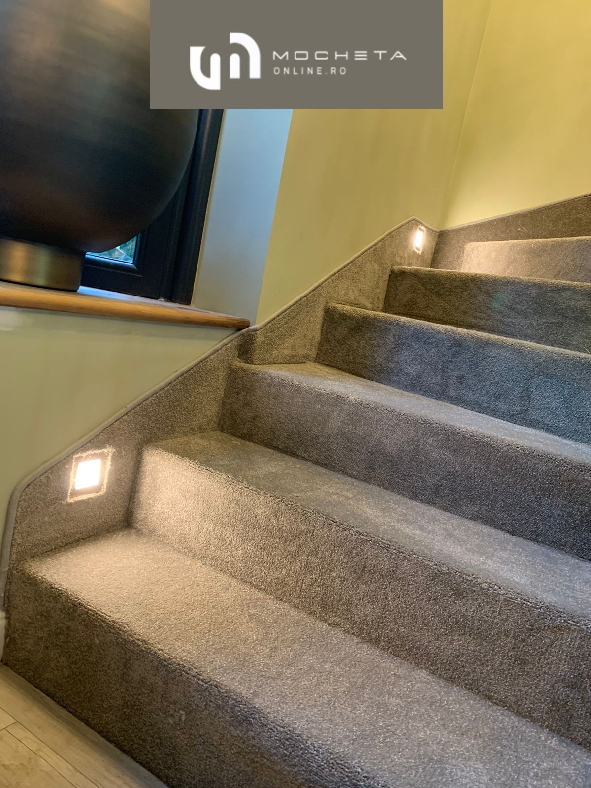 Startwist-Elite-color-433