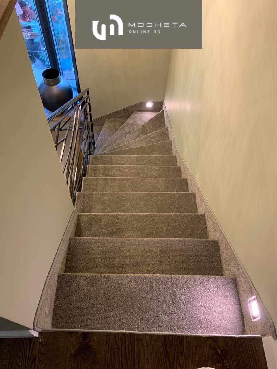 Startwist-Elite-color-433