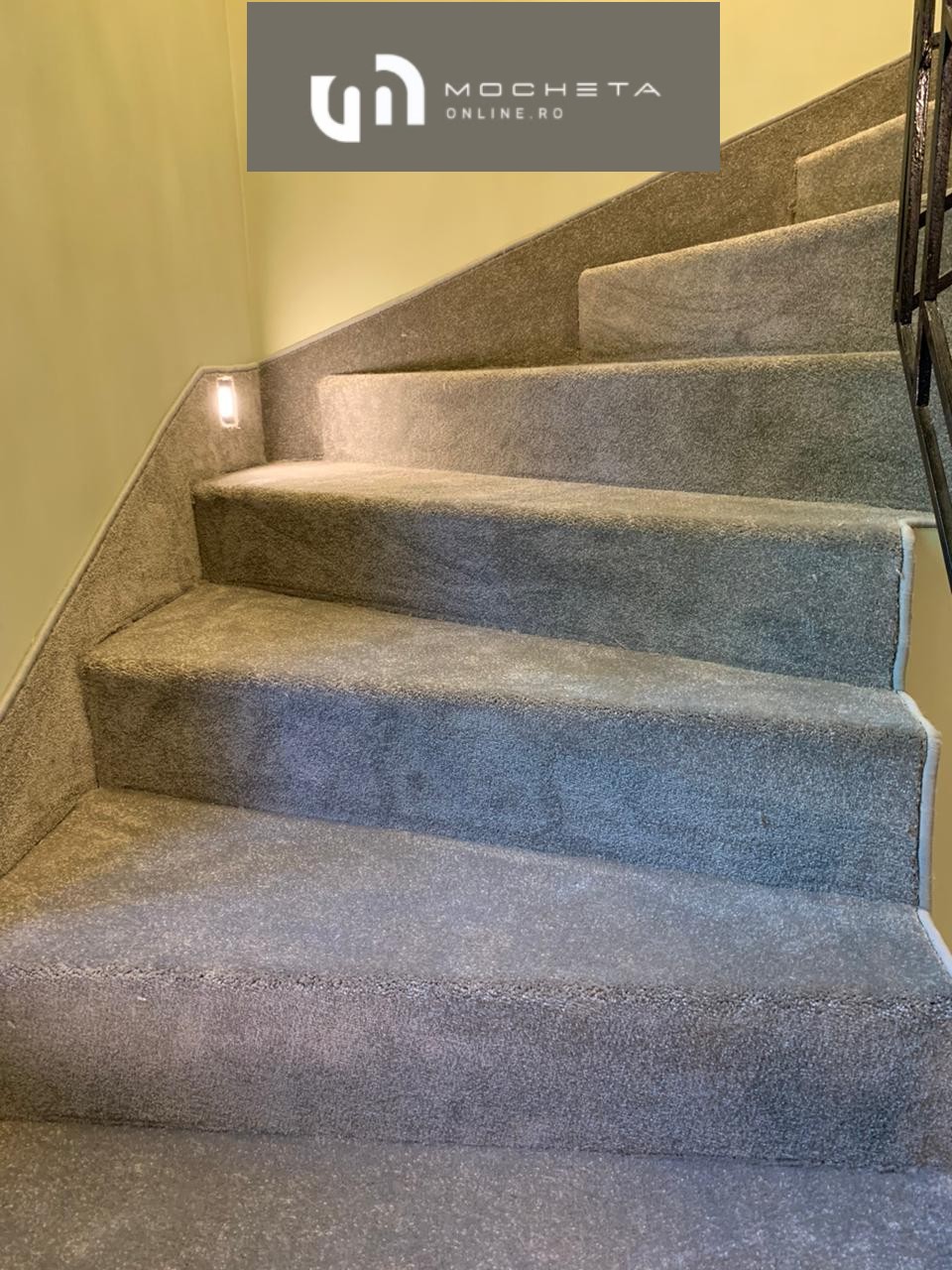 Startwist-Elite-color-433